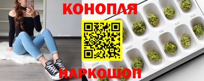 тгк Заводоуковск
