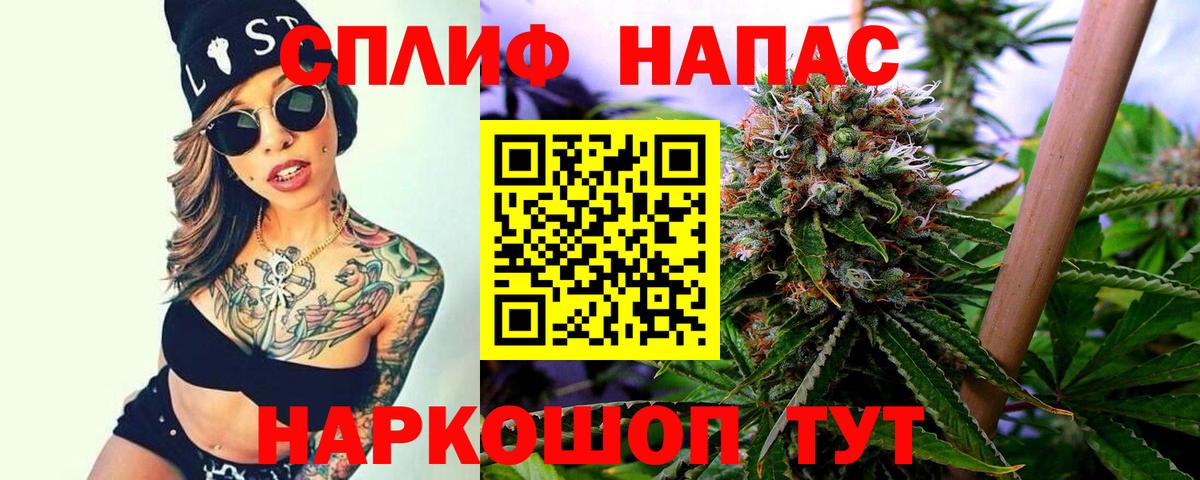 Бошки Шишки гибрид Камышлов